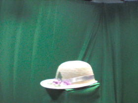 225 Degrees _ Picture 9 _ Floral Straw Hat.png